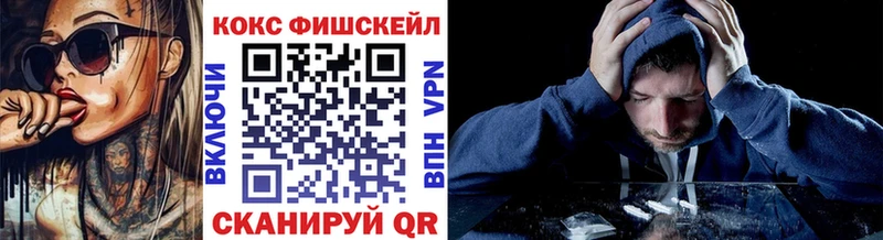 COCAIN FishScale  Купить закладки  Полысаево 