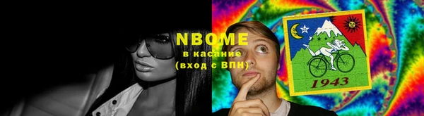 стафф Новодвинск