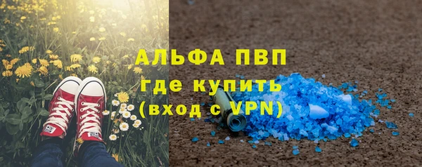 стафф Новодвинск