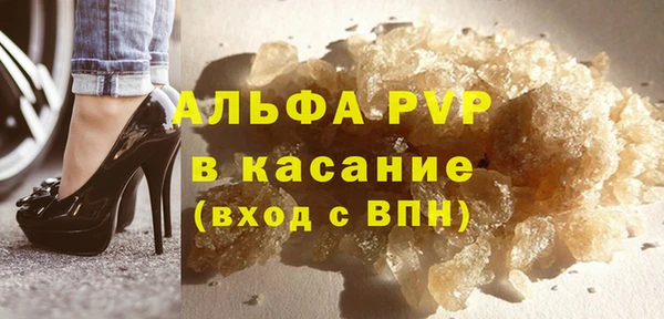 стафф Новодвинск