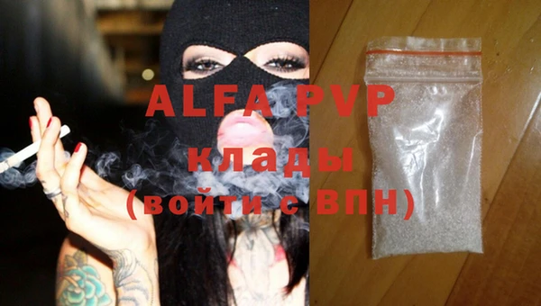 стафф Новодвинск